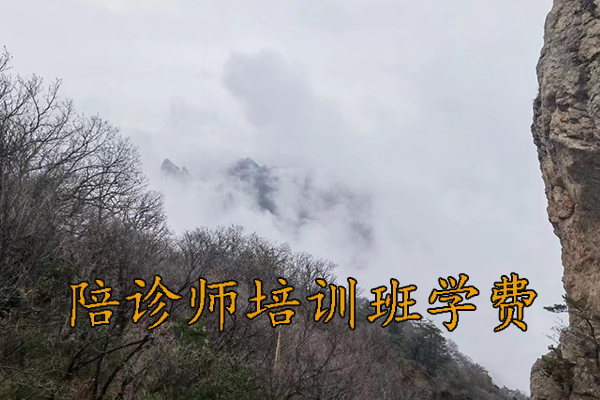 太原医疗陪诊顾问培训费用