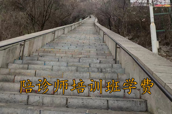 呼和浩特医疗陪诊顾问培训取证培训班招生