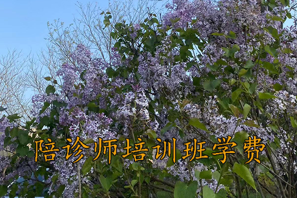 长春医疗陪诊顾问培训取证培训班招生