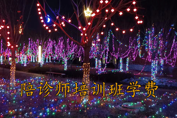 哈尔滨医疗陪诊顾问培训费用