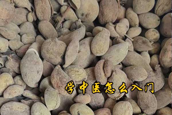 学中医怎么入门？需要什么条件？