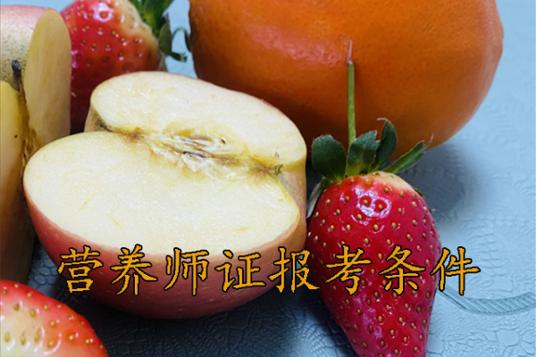 南通营养师证怎么考哪里报名