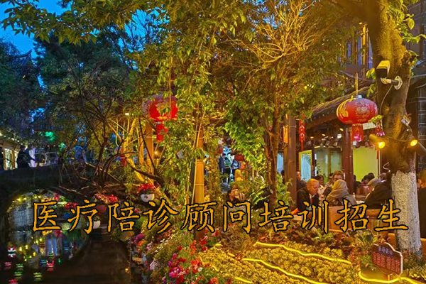 南京医疗陪诊顾问培训取证培训班招生