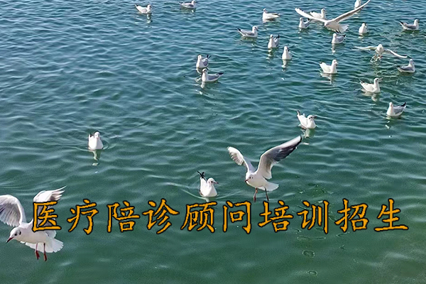 南昌医疗陪诊顾问培训取证培训班招生