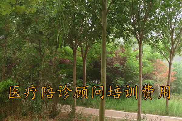 南宁医疗陪诊顾问培训取证培训班招生