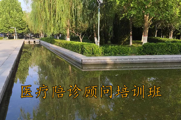 兰州医疗陪诊顾问培训费用