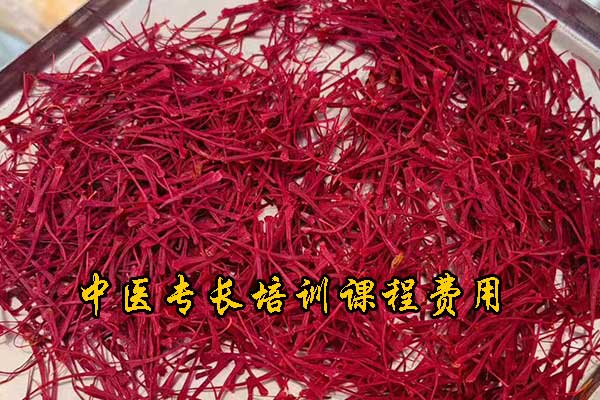 晋城中医专长培训机构有哪些