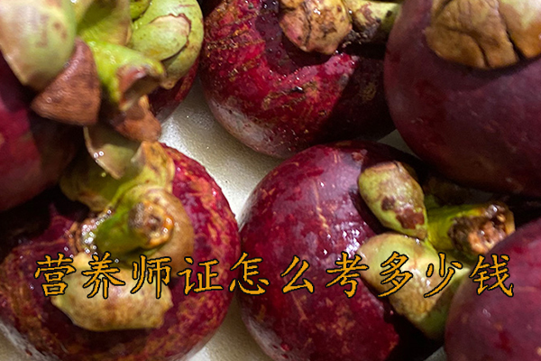 舟山营养师证怎么考多少钱