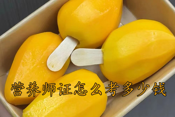 威海营养师证怎么考多少钱