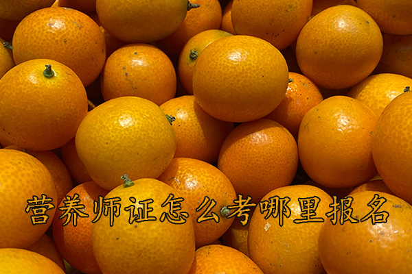 宁德营养师证怎么考需要什么学历