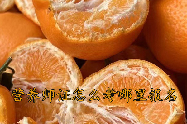 阜阳营养师证怎么考哪里报名