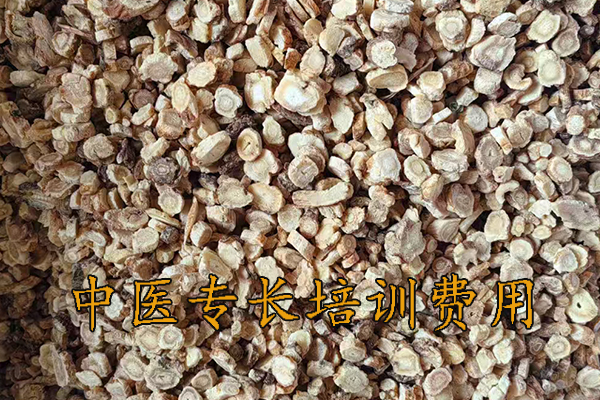 盘锦中医专长培训机构可靠吗