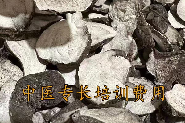 鞍山中医专长培训机构排名前十