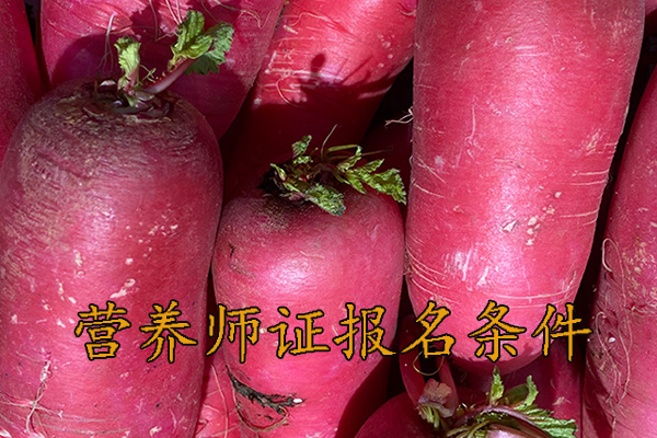 信阳营养师证怎么考需要什么学历