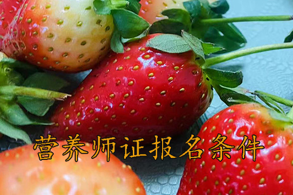 商丘营养师证怎么考需要什么条件