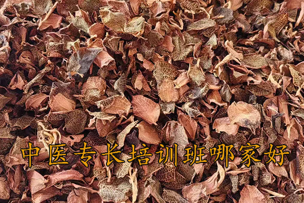 沈阳中医专长培训班哪家好