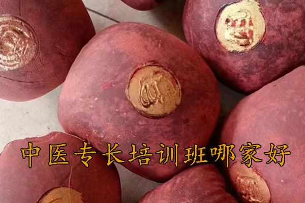 大连中医专长培训班推荐