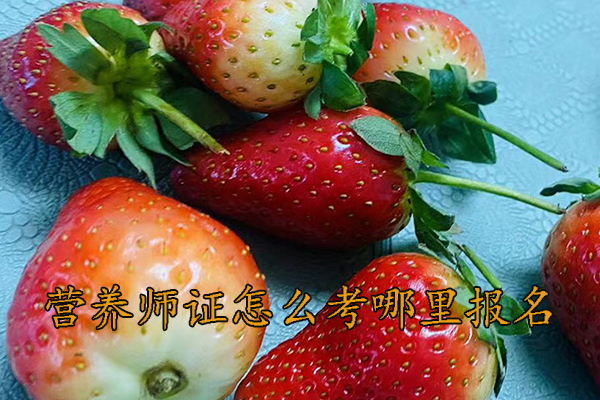 秦皇岛营养师证怎么考需要什么学历