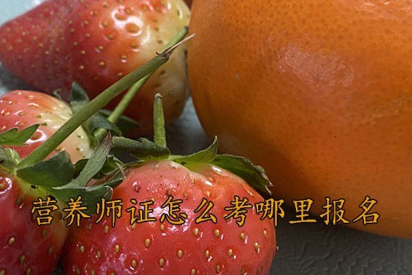 安庆营养师证怎么考需要什么条件