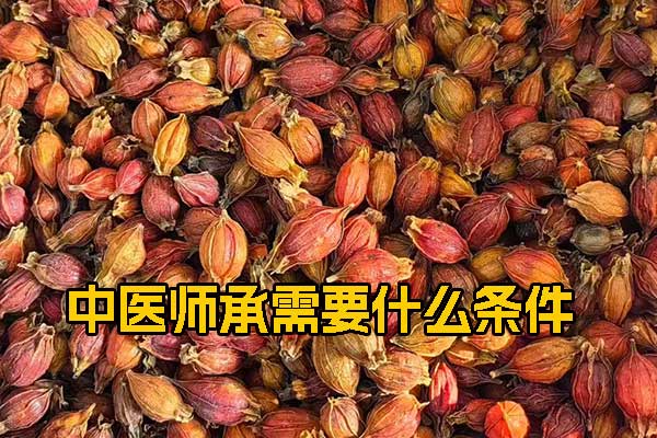 中医师承需要什么条件