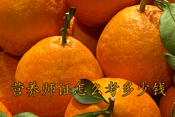 泰安营养师证怎么考多少钱