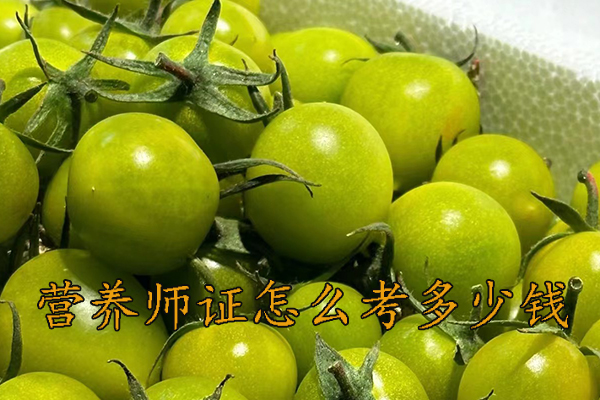 宿迁营养师证怎么考需要什么学历