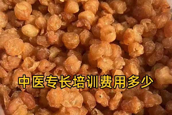 青岛中医专长培训机构可靠吗