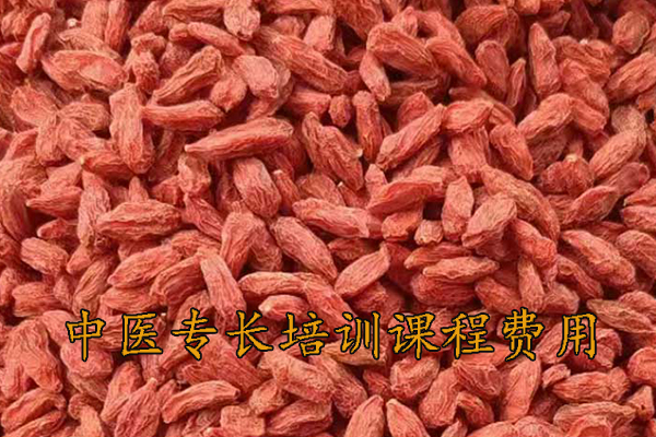 淄博中医专长培训机构有哪些