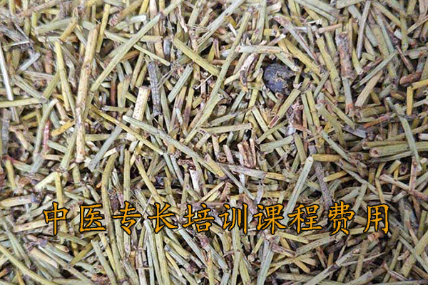 菏泽中医专长培训课程费用