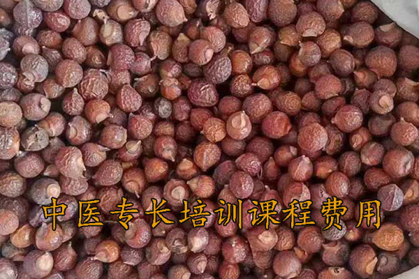 日照中医专长培训学校地址