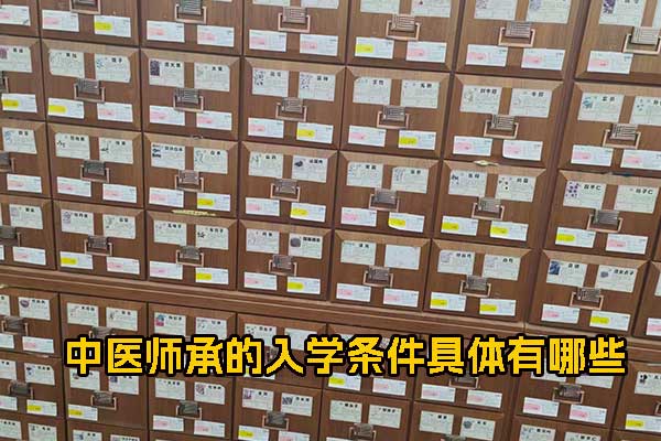中医师承的入学条件具体有哪些