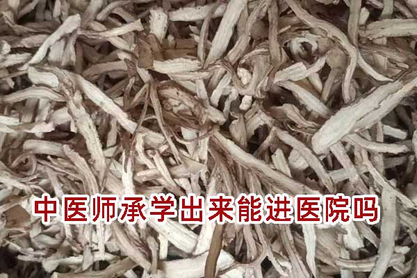 中医师承学出来能进医院吗