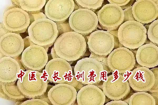 德州中医专长培训费用多少钱