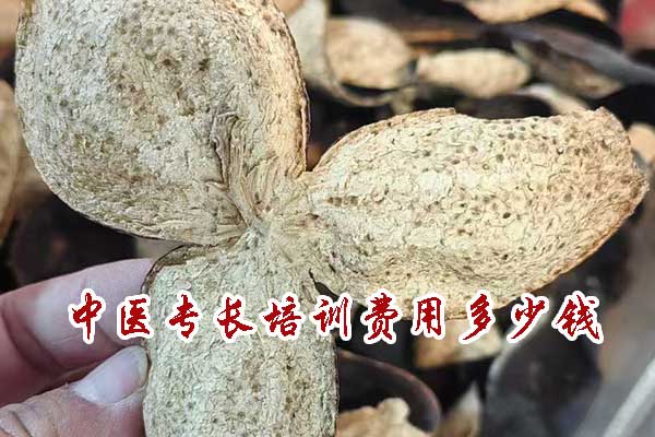 威海中医专长培训机构排名前十