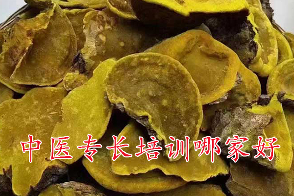 枣庄中医专长培训班哪家正规