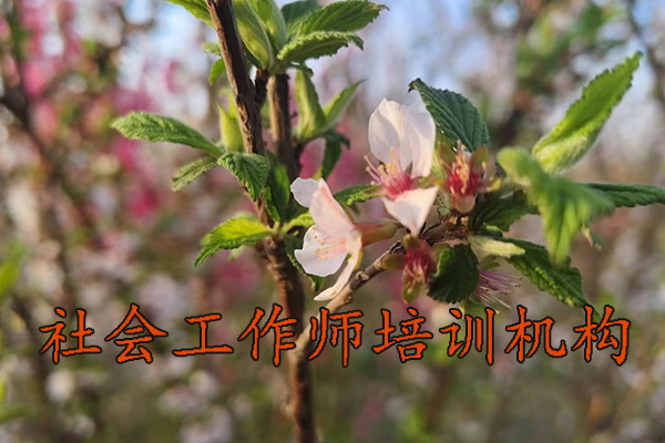 西安社会工作师培训班报名条件