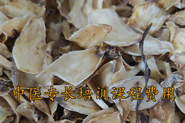 杭州中医专长培训课程费用