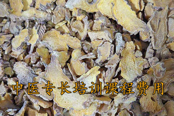 温州中医专长培训学校地址