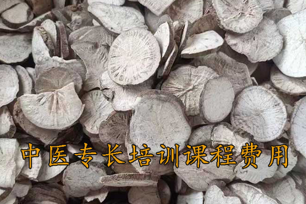 宁波中医专长培训机构有哪些