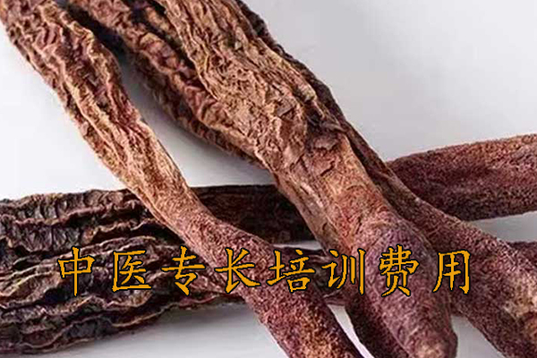 台州中医专长培训费用