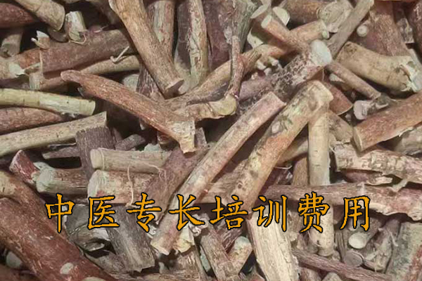 金华中医专长培训机构可靠吗