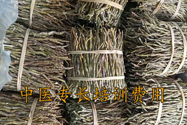 嘉兴中医专长培训机构排名前十