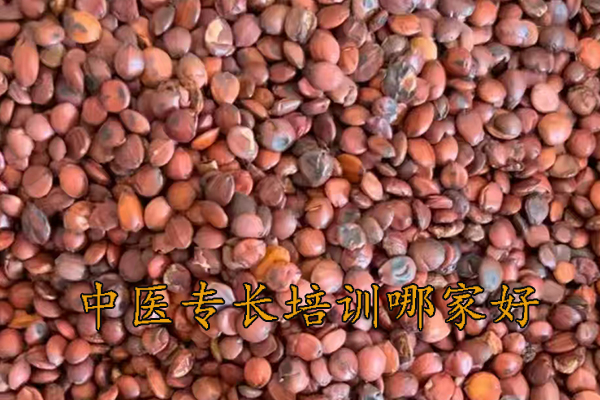 衢州中医专长培训班哪家好