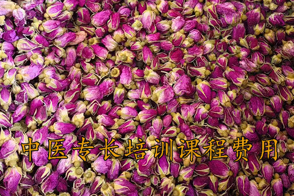 绍兴中医专长培训班哪家正规