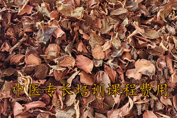 苏州中医专长培训课程费用