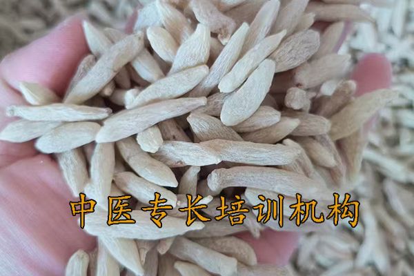 南京中医专长培训费用