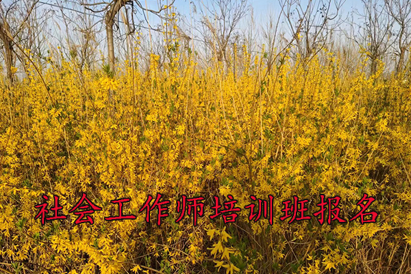 惠州社会工作师培训班报名条件