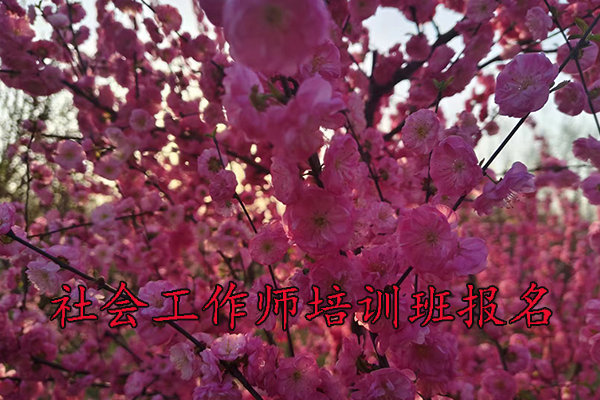 珠海社会工作师培训机构排名