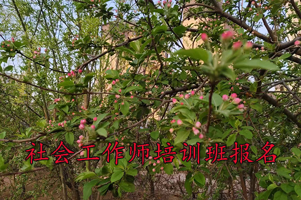 中山社会工作师培训班学费多少