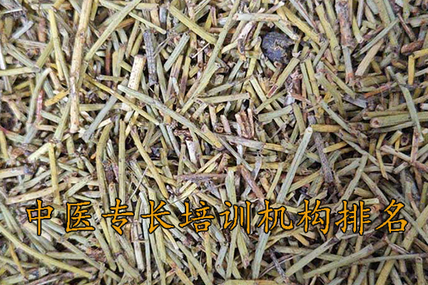 无锡中医专长培训机构排名前十